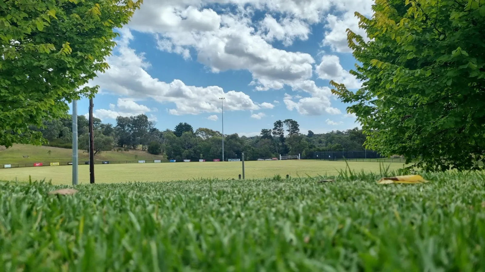 Wonga Park Reserve Dog Off Leash Area dog park