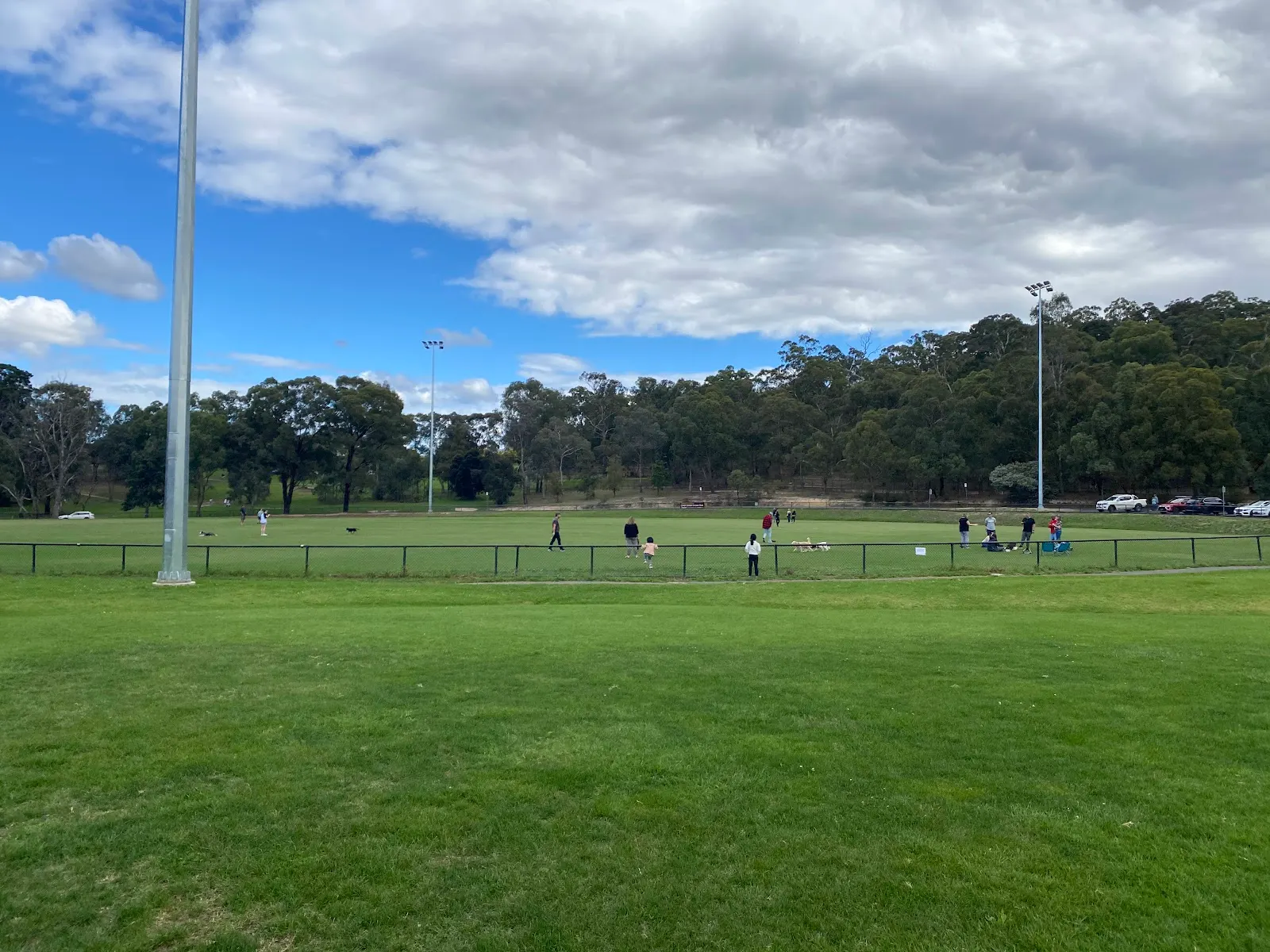 Eltham Lower Park Dog Fenced Oval and Off Leash Area dog park