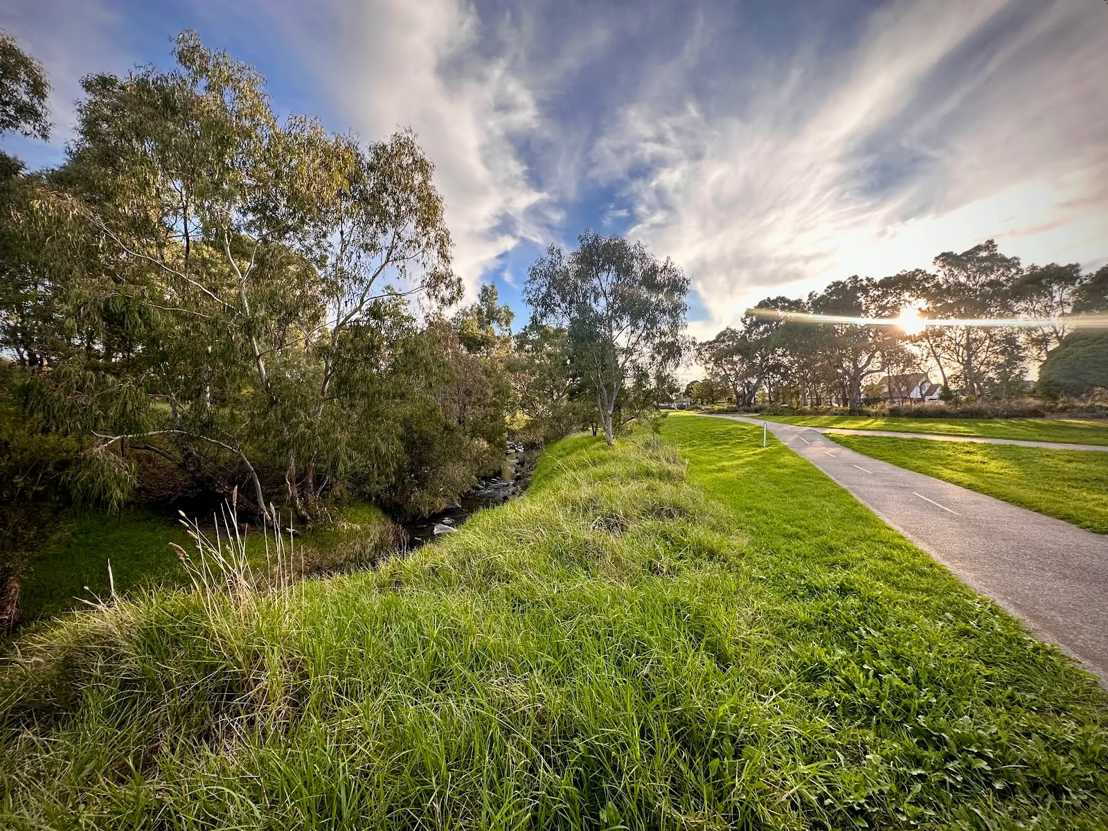 K.P. Hardiman Reserve Dog Off Leash Area dog park
