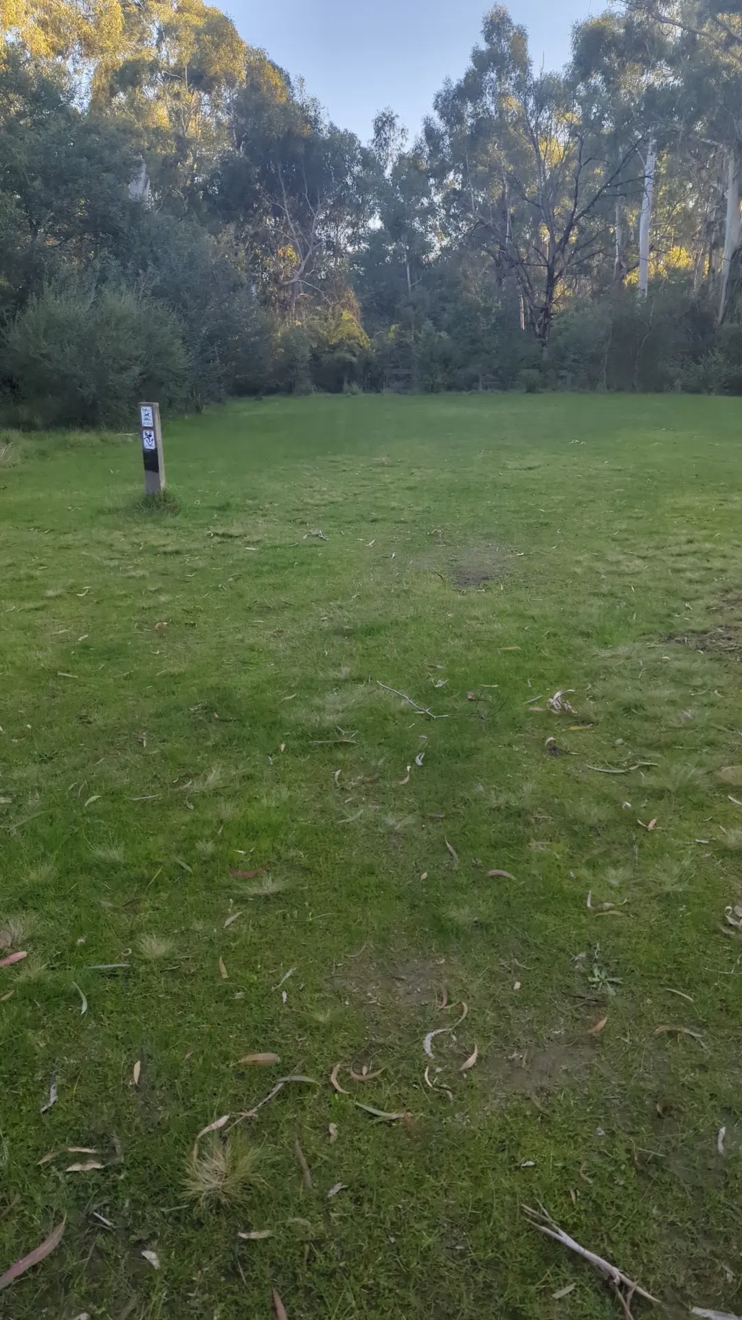 Wingrove Park Dog Off Leash Area dog park