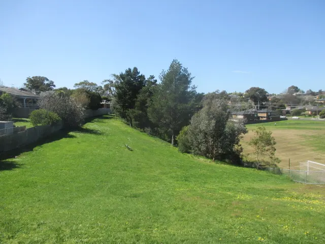 Wilsons Reserve Dog Off Leash Area dog park