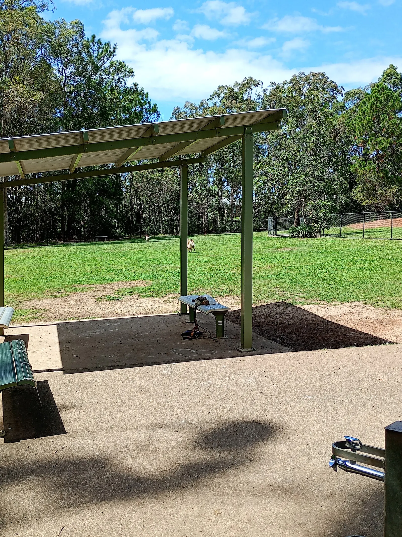 Carramar Off-Leash Dog Park dog park