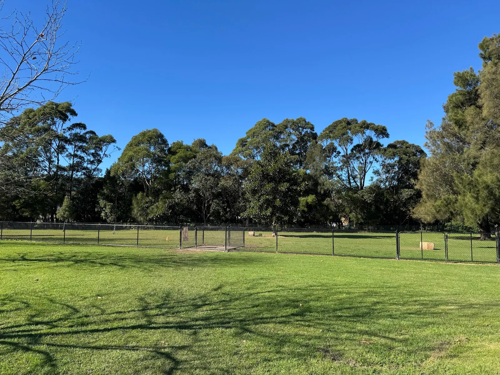 Figtree Off Leash Dog Area dog park