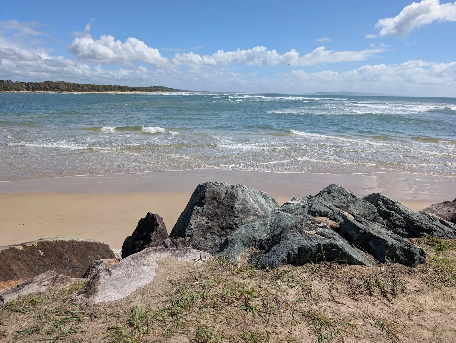 Noosaville Off Leash, Shorehaven Park, Noosaville dog park