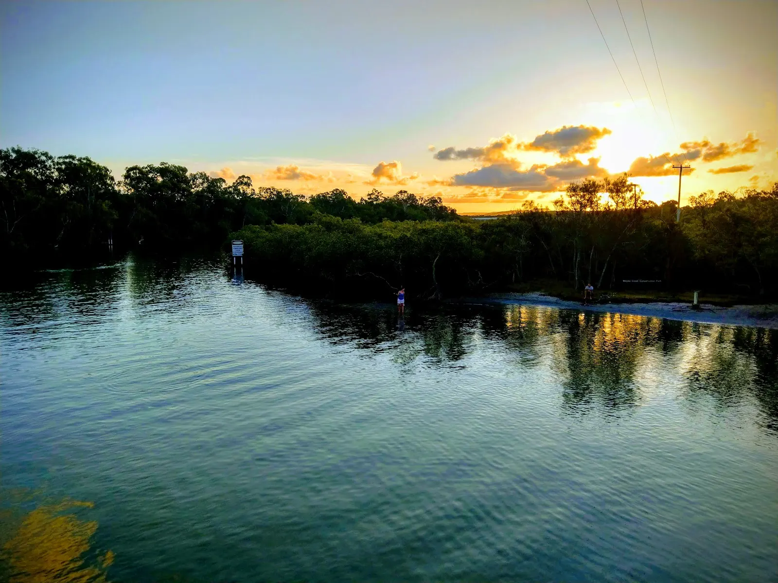 Weyba Creek Park dog park