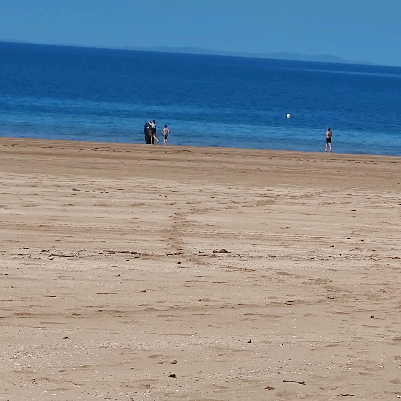 Sarina Beach Off Leash Dog Area dog park