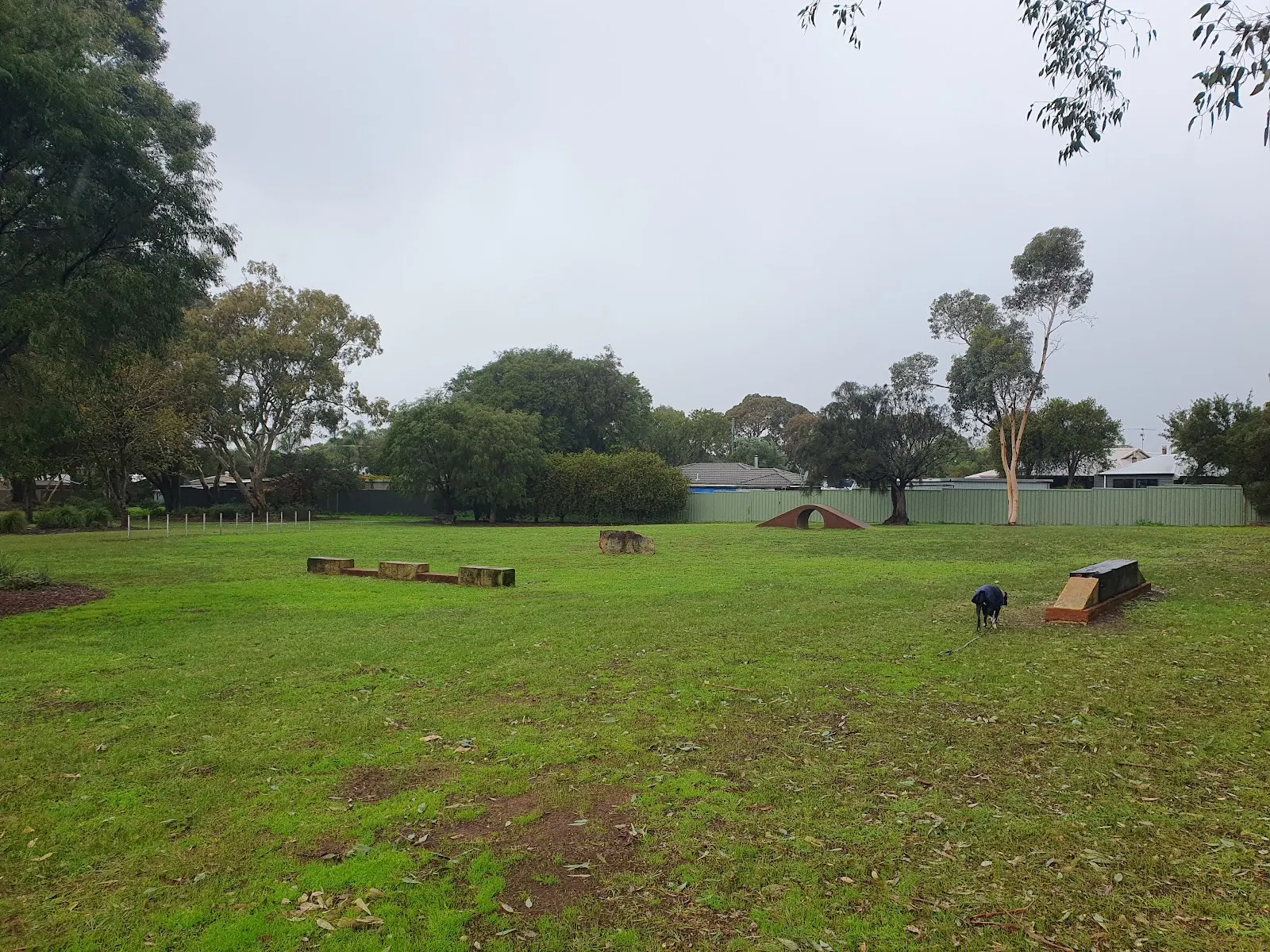 Georgette Drive Dog Park dog park