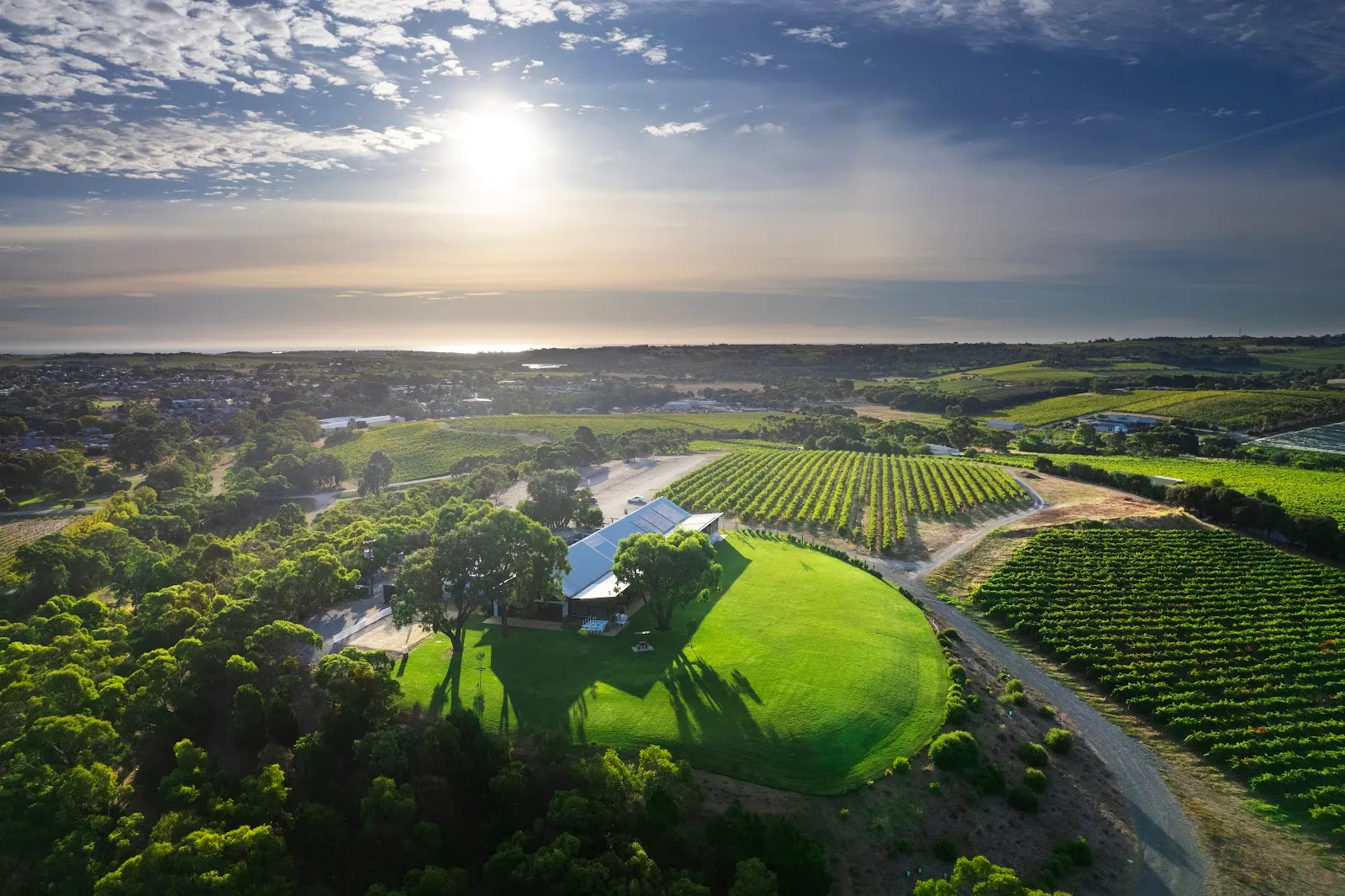 Chalk Hill Wines I McLaren Vale wine tastings & events