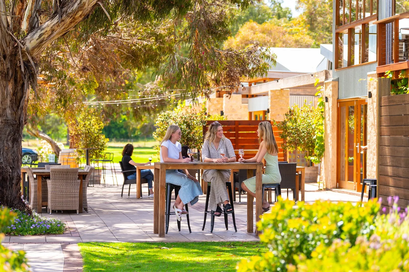 Lake Breeze Wines