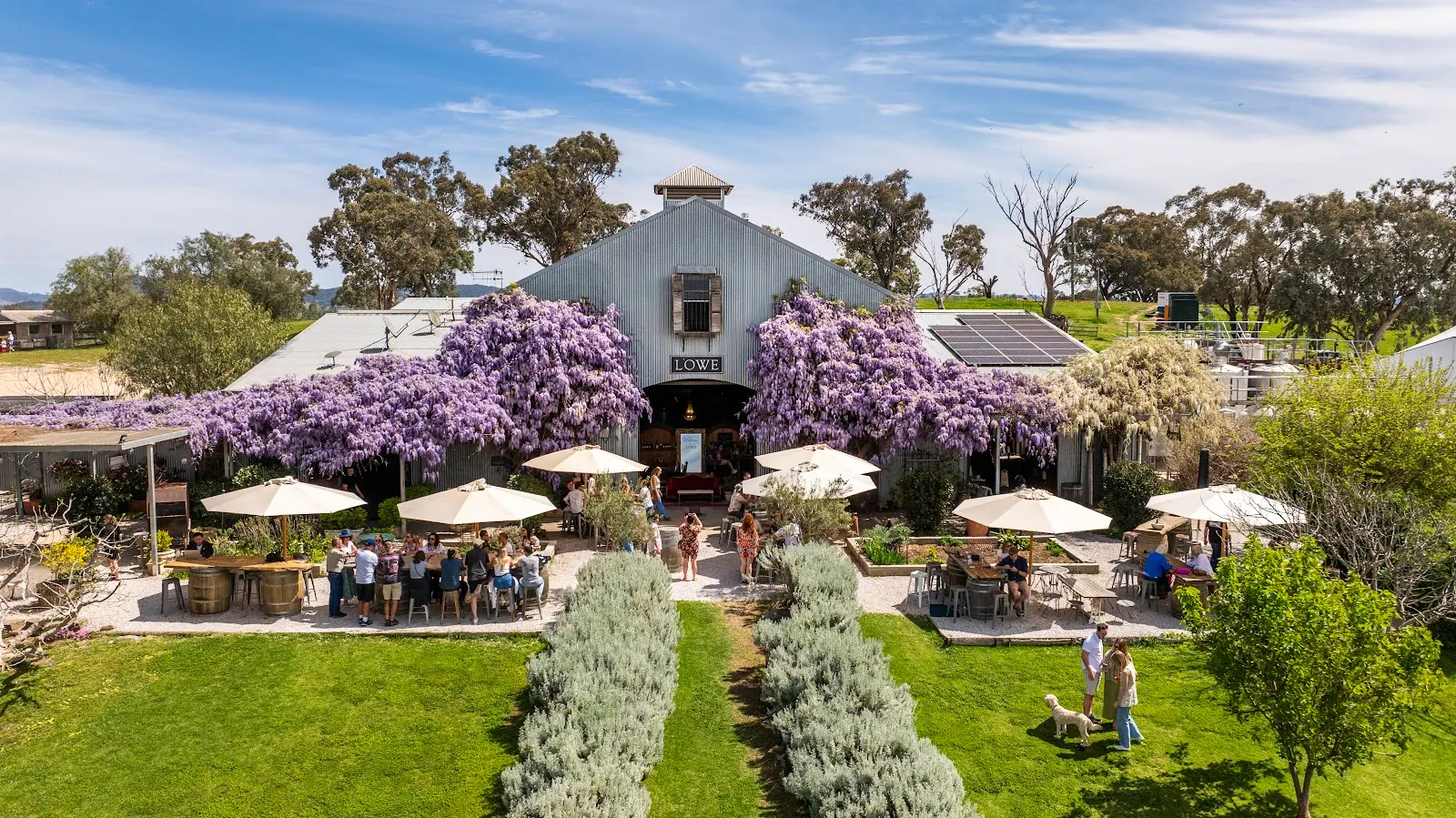 Lowe Family Wine Co