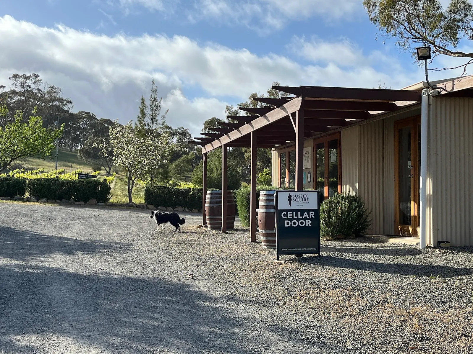 Sussex Squire Cellar Door