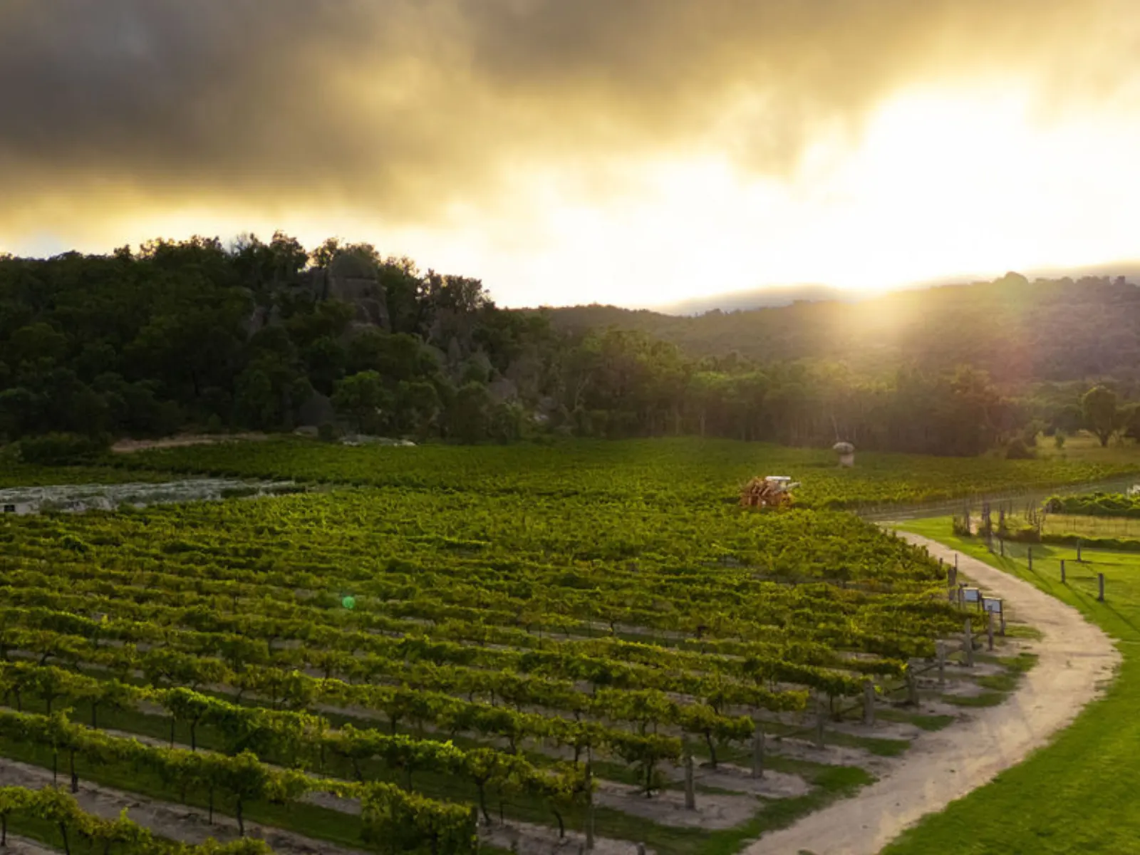 Balancing Heart Vineyard