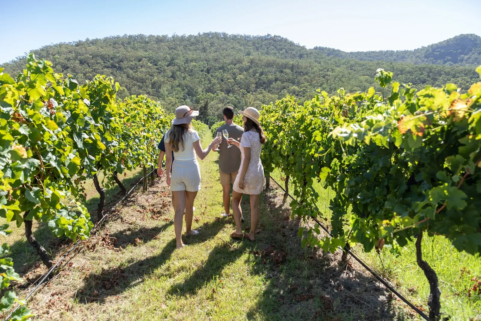 Greenway Wines