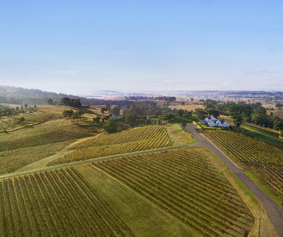 Audrey Wilkinson, Hunter Valley