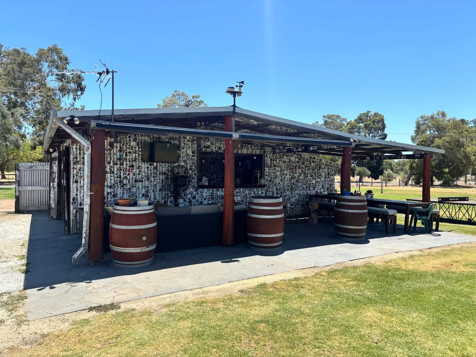 Tyler's Vineyard