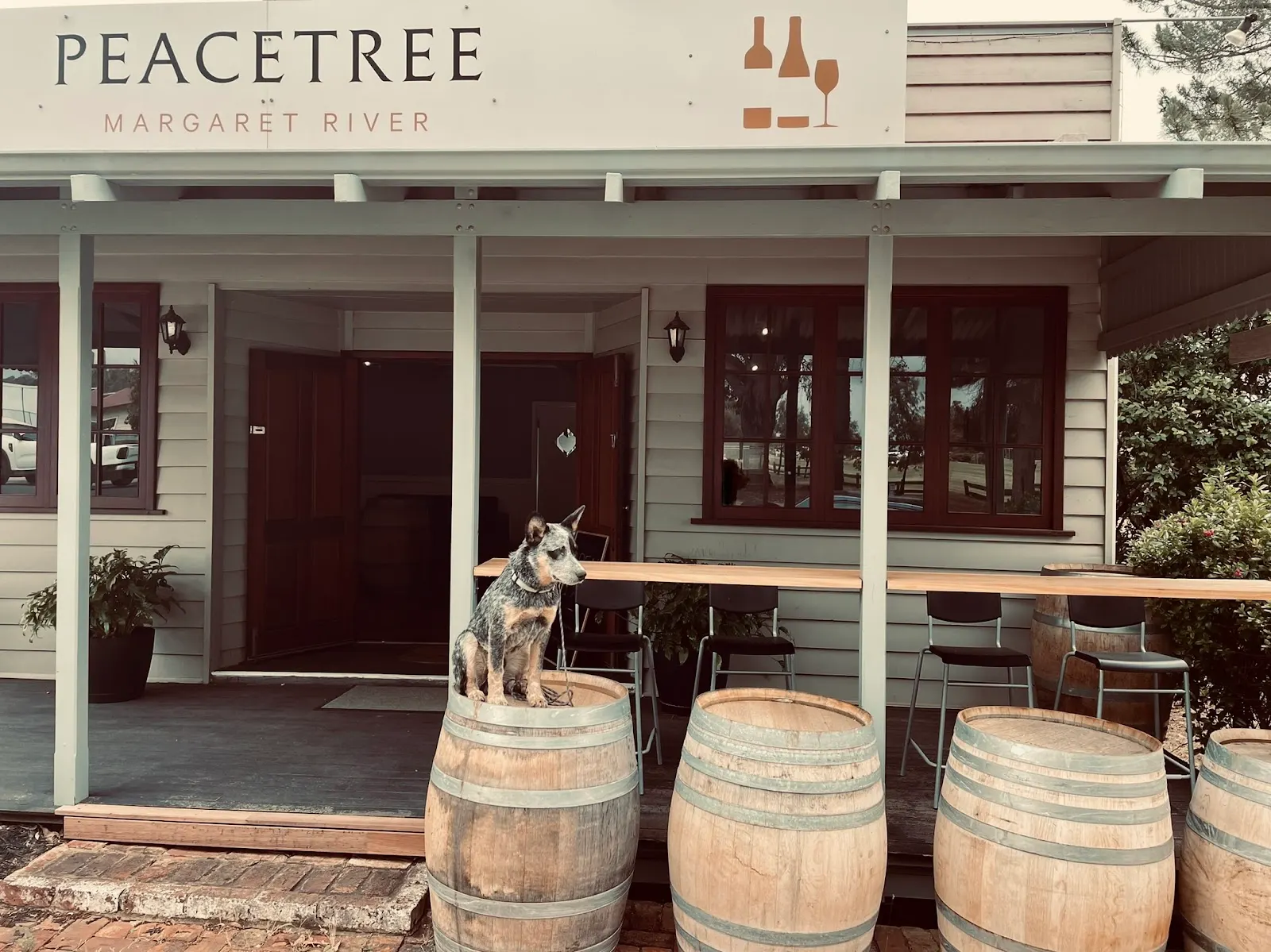 Peacetree Wines
