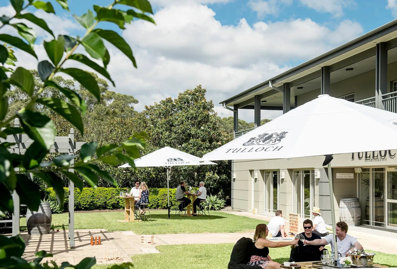 Tulloch Wines